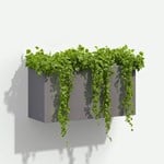 View Wilshire Box Hanging Planters