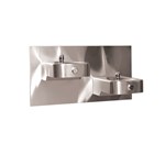 View Model 1117LN: Wall Mounted Drinking Fountain 