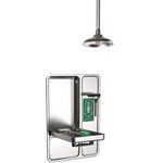 View Model 8356WCC: AXION® MSR Barrier Free Recessed and Shower Eye/Face Wash