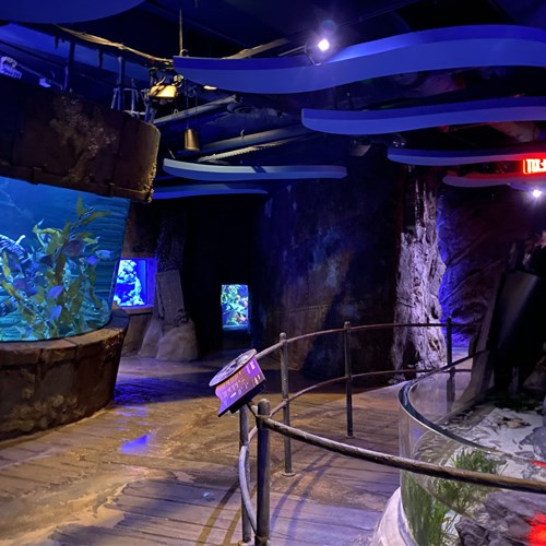 View Aquarium Exhibits