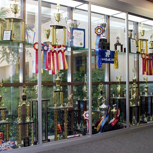 View Display Cases: Large Display Cases