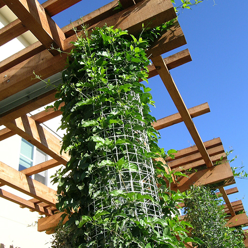 CAD Drawings BIM Models Greenscreen Column Shaped Trellis