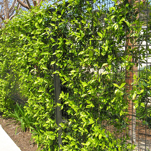 CAD Drawings BIM Models Greenscreen Freestanding Trellis Fence - Horizontal & Vertical