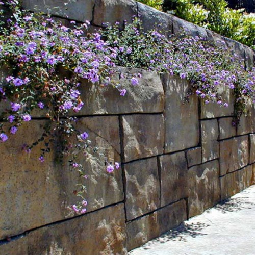 View Ashlar Stone Wall Finish