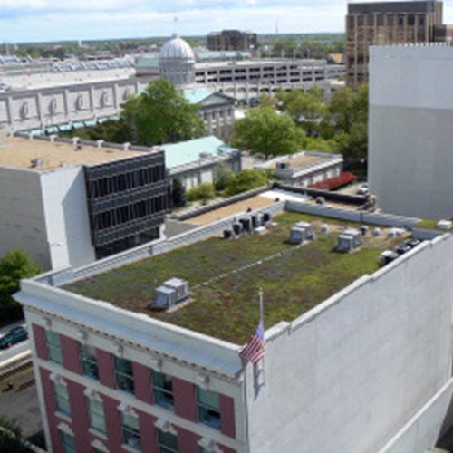 View Green Roof