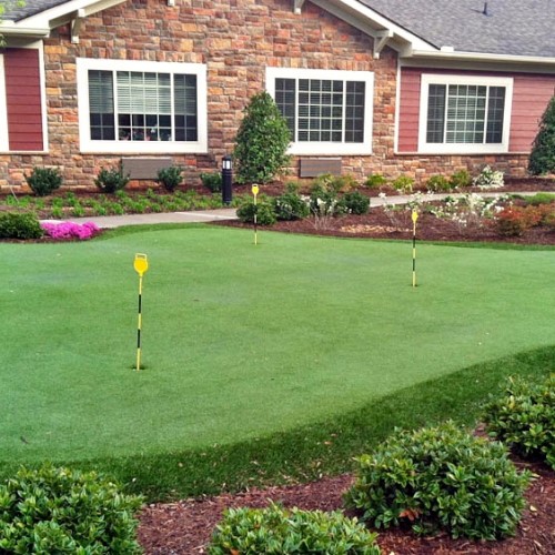 CAD Drawings Grass!365 Golf: Backyard Putting Greens