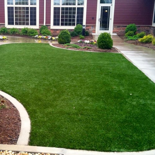 CAD Drawings Grass!365 Lawn: Backyard