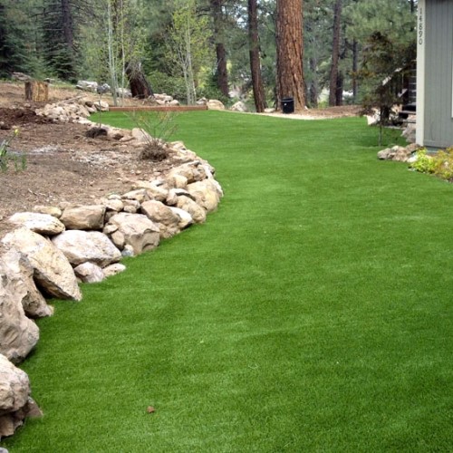 CAD Drawings Grass!365 Lawn: Backyard