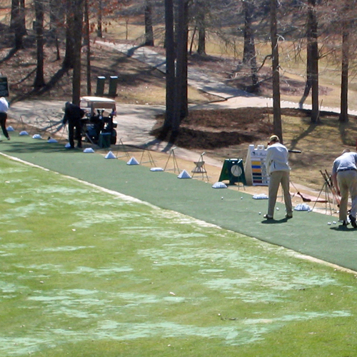 CAD Drawings Grass!365 Commercial Tee Box