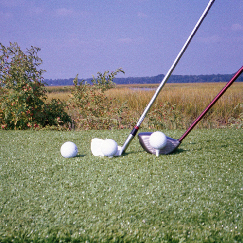 CAD Drawings Grass!365 Commercial Tee Box