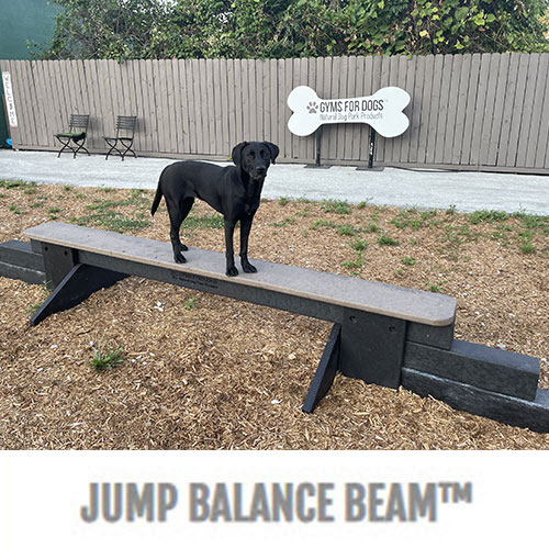 CAD Drawings BIM Models Gyms For Dogs™ Jump Balance Beam™