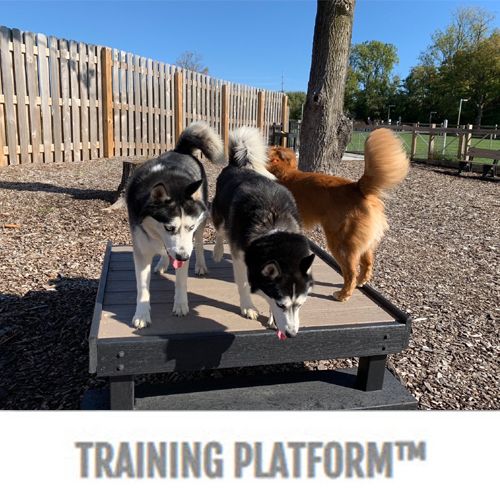 CAD Drawings BIM Models Gyms For Dogs™ Training Platform™