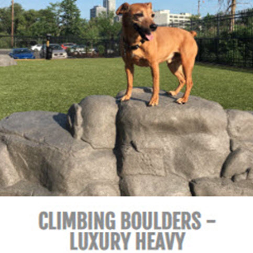 CAD Drawings BIM Models Gyms For Dogs™ Climbing Boulders - Luxury Heavy