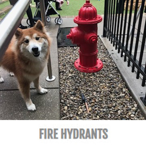 CAD Drawings BIM Models Gyms For Dogs™ Fire Hydrants