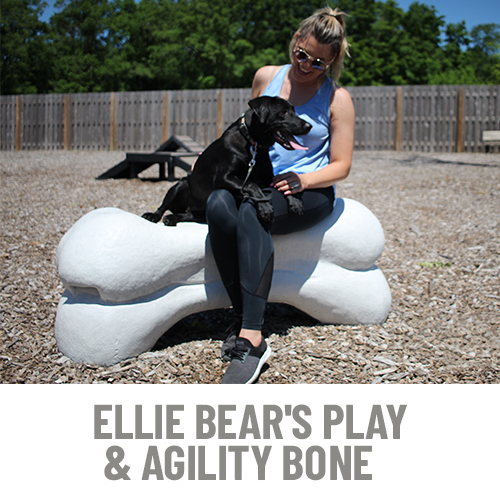 CAD Drawings BIM Models Gyms For Dogs™ Ellie Bear's Play & Agility Bone™