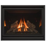 View Gas Fireplace: SP41