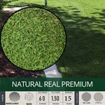 View Natural Premium