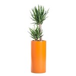 View PurePots Planters: Tall Cylinder Pot - 2330