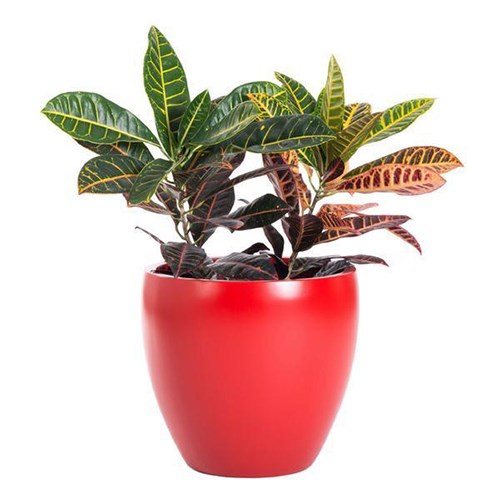 View PurePots Planters: Tapered Round Pots - 2130