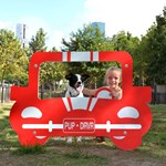 View Dog Park Photo Panel - Car (PAWPBK1REDG)