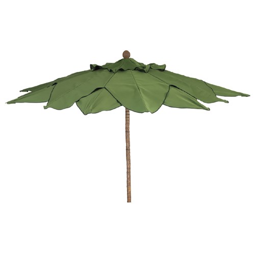 View Palm Umbrella