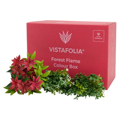 View Forest Flame Colour Box