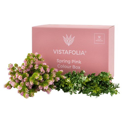 View Spring Pink Colour Box