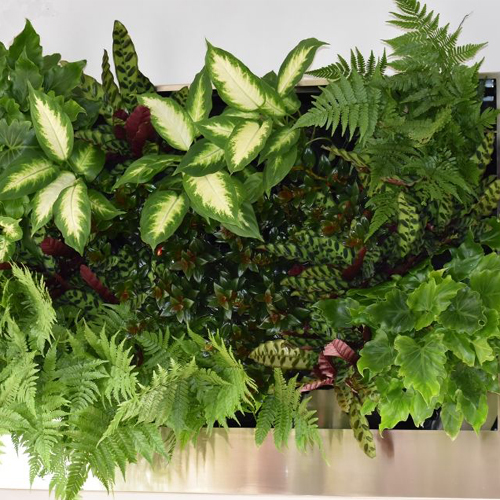 CAD Drawings GrowUp Greenwalls Freedom Series