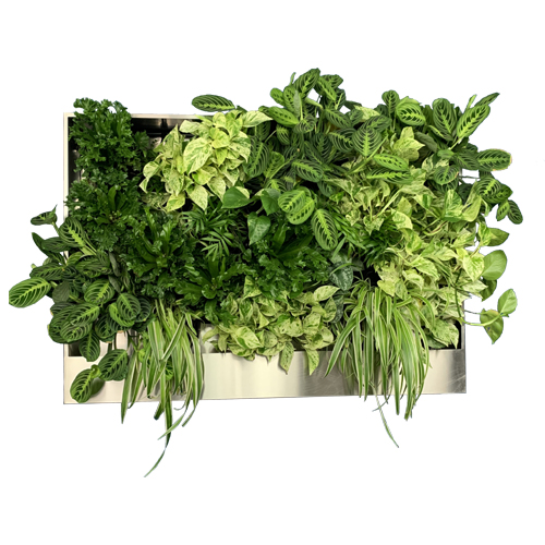 CAD Drawings GrowUp Greenwalls Freedom Series
