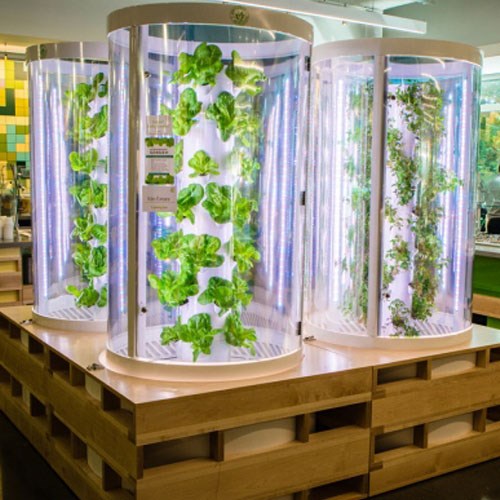 View Indoor Farms