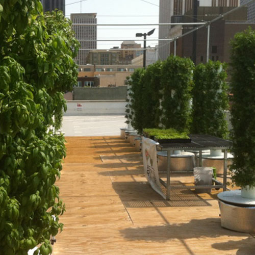 CAD Drawings Tower Farms Rooftop Farms
