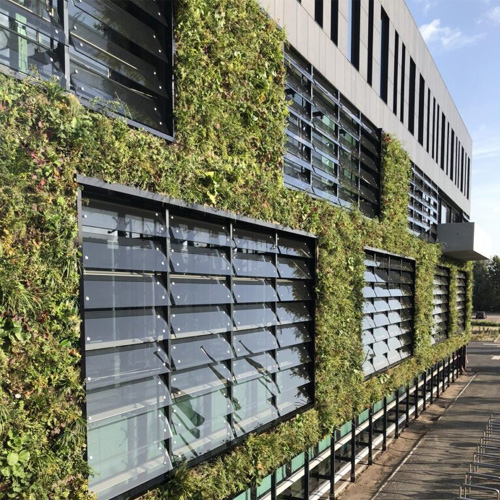 CAD Drawings Sempergreen SemperGreenwall Outdoor