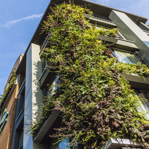 CAD Drawings Sempergreen SemperGreenwall Outdoor