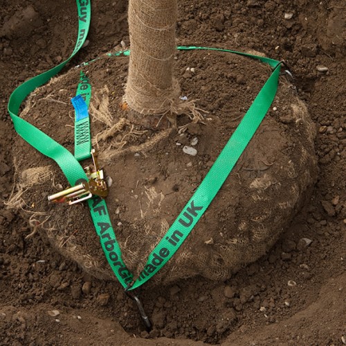 CAD Drawings GreenBlue Urban ArborGuy™ Tree Anchoring System