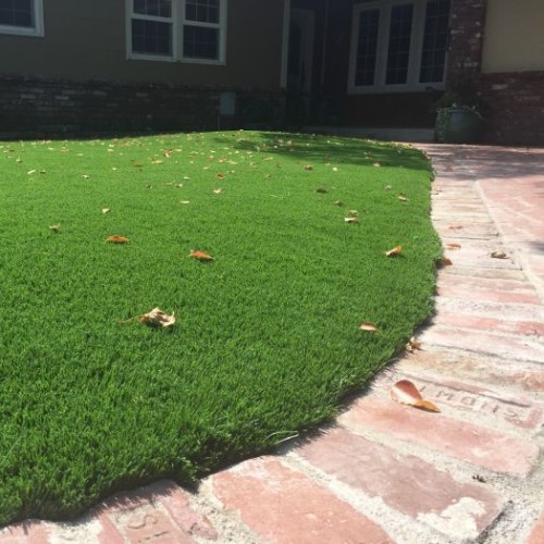 CAD Drawings Purchase Green Bluegrass Supreme
