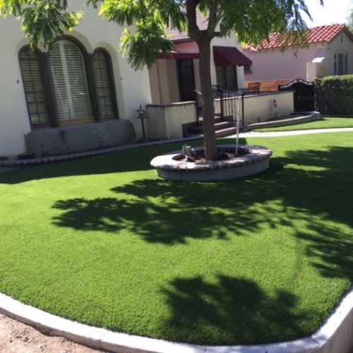 CAD Drawings Purchase Green Fescue Supreme