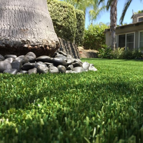 CAD Drawings Purchase Green Nature's Sod Platinum