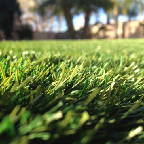 CAD Drawings Purchase Green Southwestern Sod