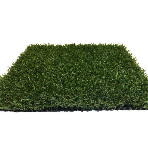 CAD Drawings Purchase Green Zoysia