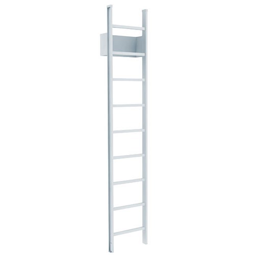 View 500 Access Ladder