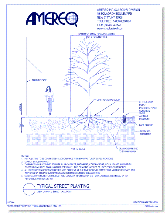 Typical Street Tree Planting, View 1, using CU-Structural Soil®