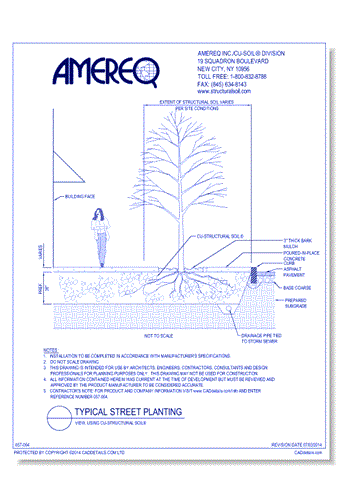 Typical Street Tree Planting, View 1, using CU-Structural Soil®