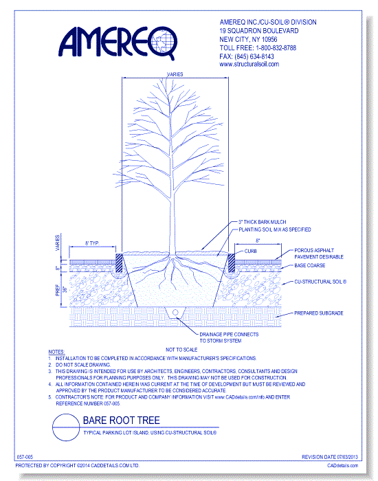 Bare Root Tree in Typical Parking Lot Island, using CU-Structural Soil®