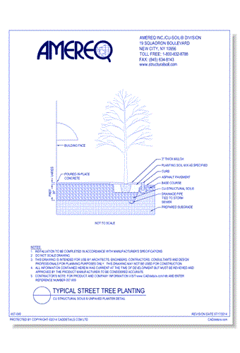 Typical Street Tree Planting, CU-Structural Soil® & Unpaved Planter Detail