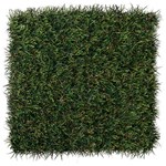 View ForeverLawn® Select LX
