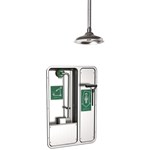 View Model 8355WCC: AXION® MSR Barrier-Free Recessed Shower and Eye/Face Wash