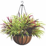 View Hanging Basket With Flowers