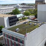 View Green Roof
