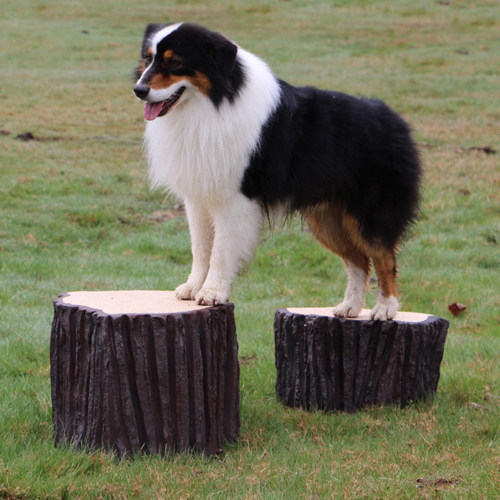 CAD Drawings BIM Models Dog-ON-It-Parks Big Stump Jump