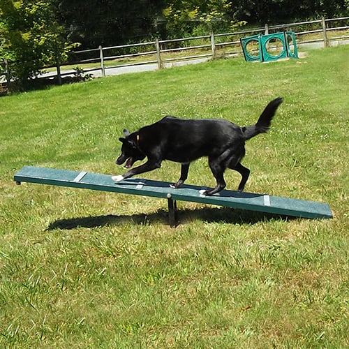 CAD Drawings BIM Models Dog-ON-It-Parks Scottie Seesaw